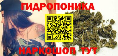 стаф Владивосток
