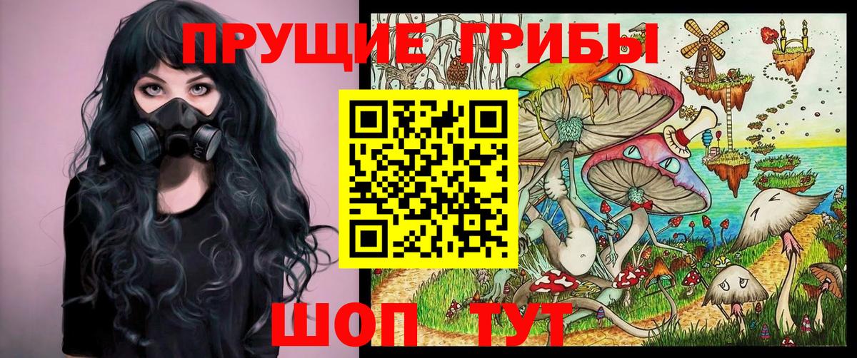 Серпухов  Псилоцибиновые грибы мухоморы  Псилоцибиновые грибы Psilocybe  Вход с VPN 
